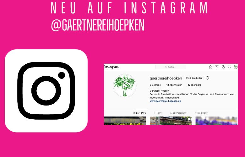 Ankündigung Instagram Gärtnerei Höpken