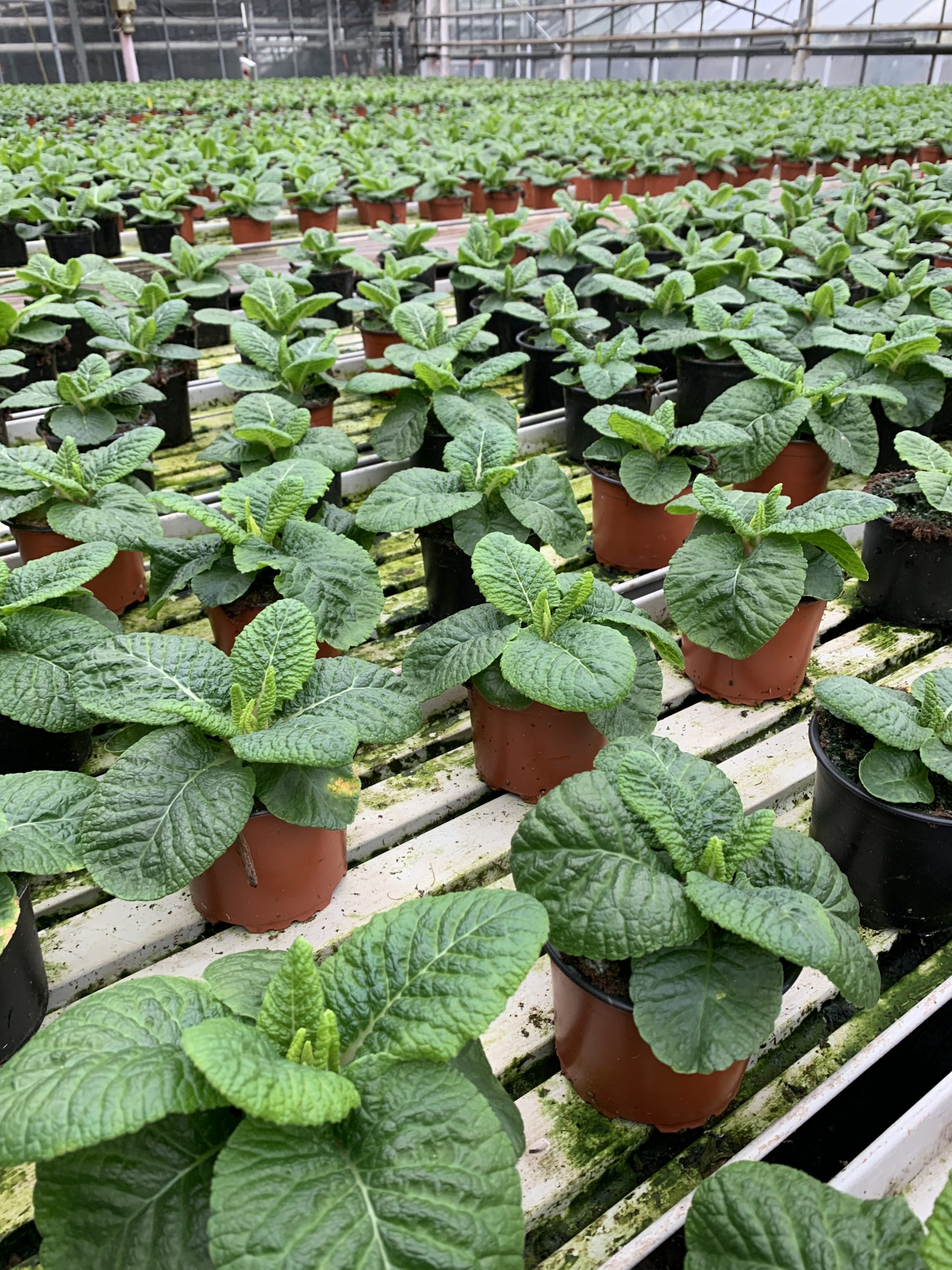 Öffnungszeiten im Winter